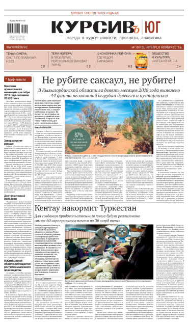 Газета Курсив №10 (юг)
