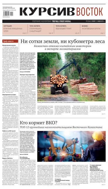 Газета Курсив №25 (восток)