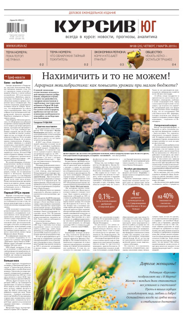 Газета Курсив №8 (юг)