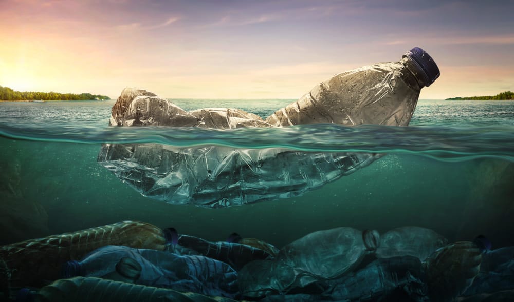 Фото: Shutterstock