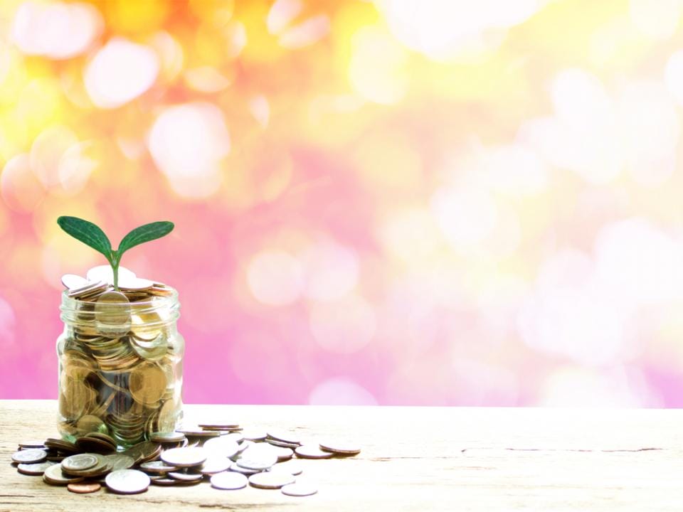 Фото: Shutterstock.com