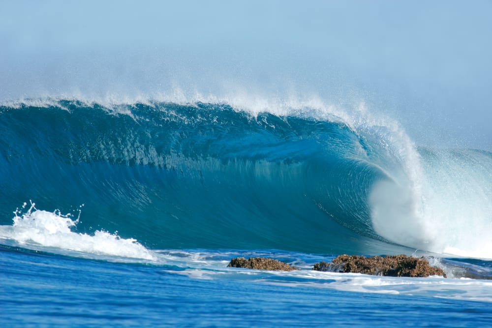 фото: shutterstock.com
