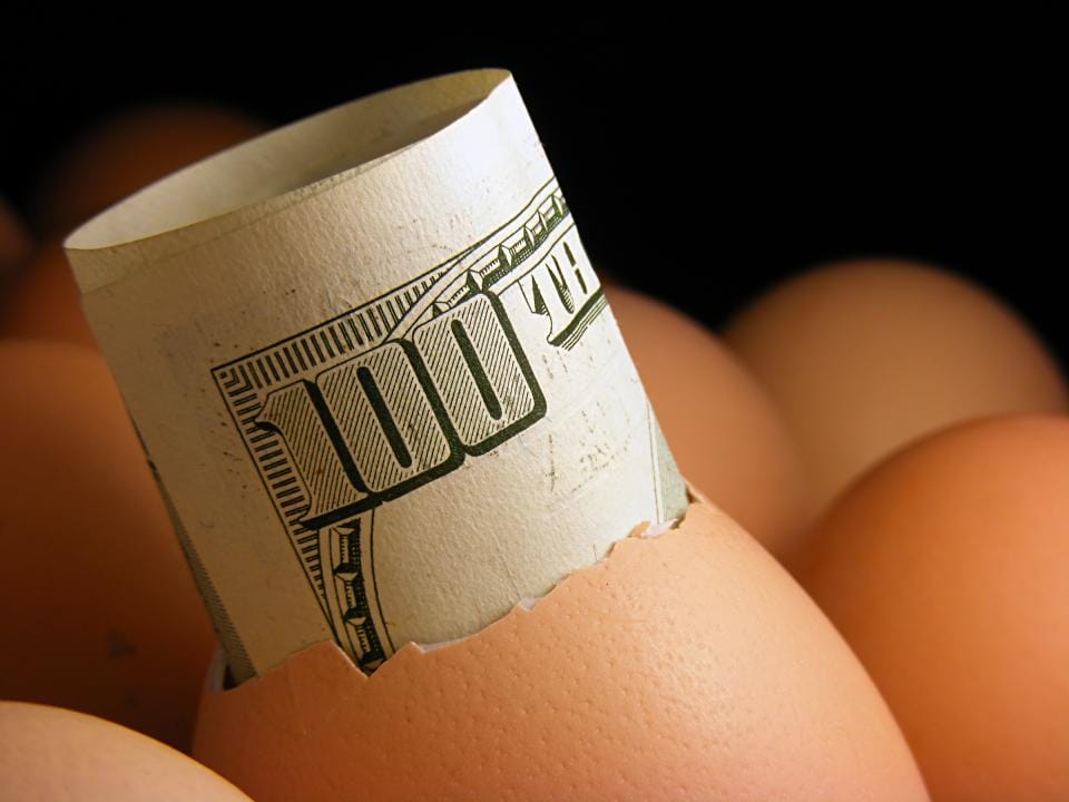 Более 20 миллиардов тенге задолжали акимы птицеводам по субсидиям