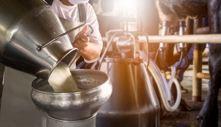 Развитие АПК в СКО: в регионе ежегодно намерены открывать более трех молочно-товарных ферм