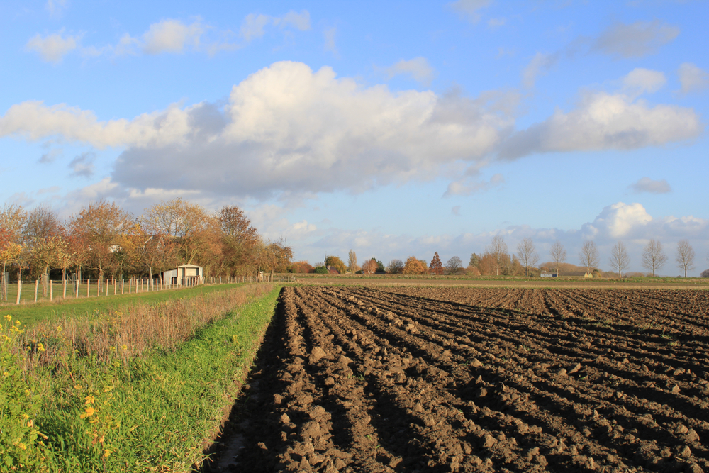 Увеличение орошаемых площадей планируется в Экибастузском регионе