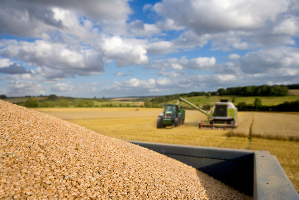 Дальние поля всегда зеленее