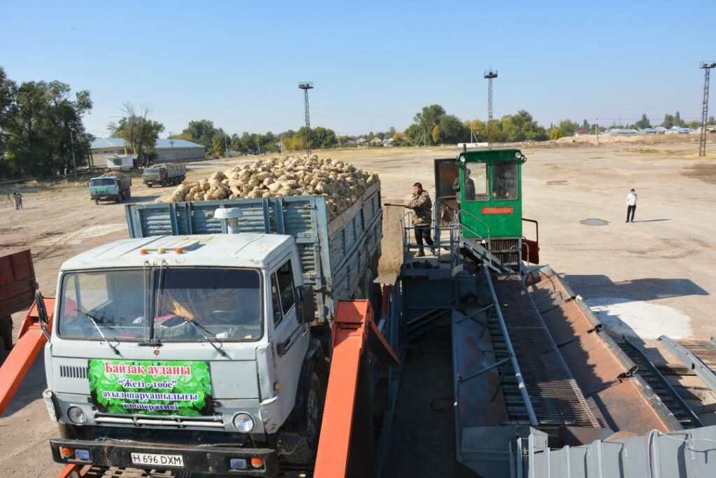 Более полумиллиарда тенге задолжал свекловодам Меркенский сахарный завод