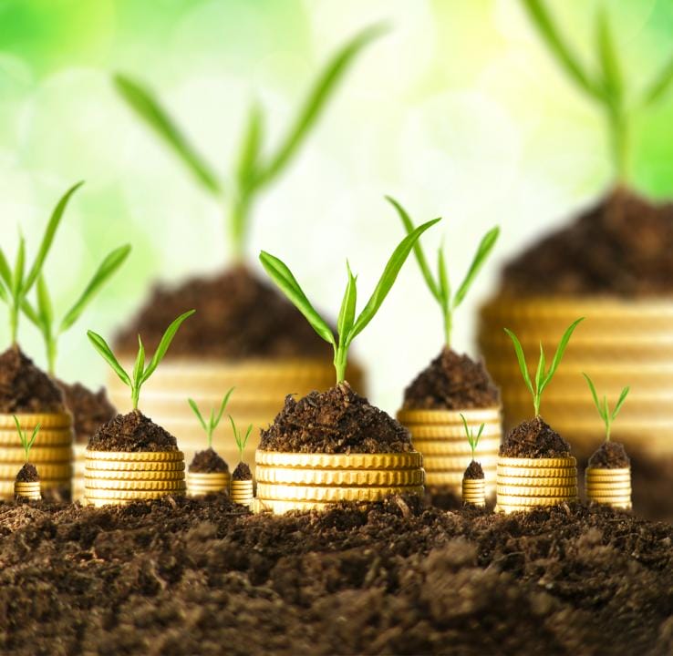 Фото: Shutterstock