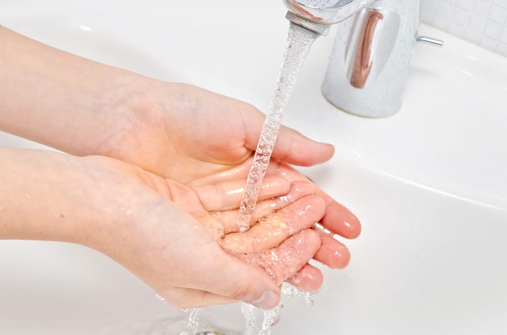 Фото: Shutterstock.com