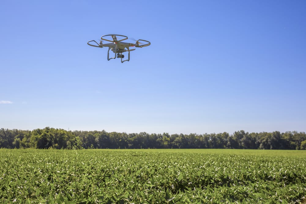 Рисоводы Кызылординской области благодаря дронам сэкономят 20 миллионов тенге