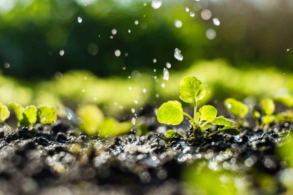 Фото: Shutterstock.com