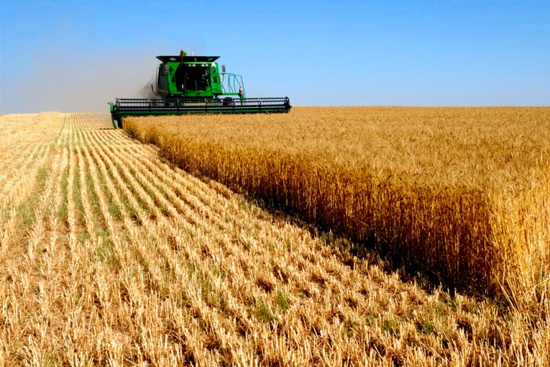 Аграрии Жамбылской области внесут удобрения в почву после уборки урожая