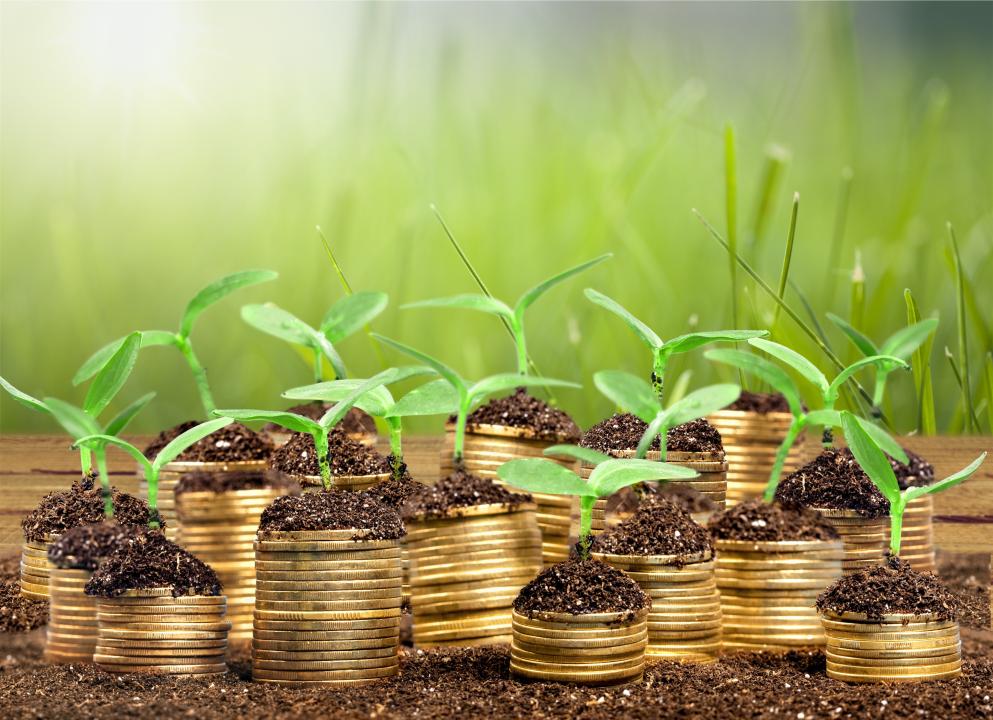 Начинающим бизнесменам в селах СКО выдадут больше 1,3 тыс. безвозмездных грантов