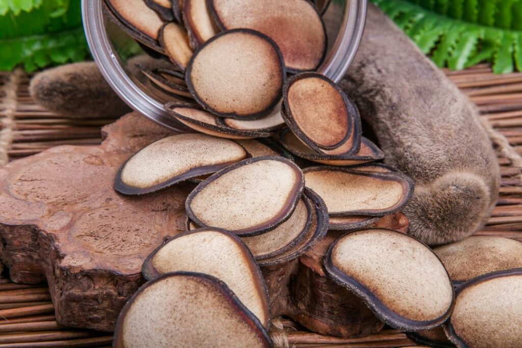 Пантолечебницы Казахстана и России озвучили цены на 2019 год