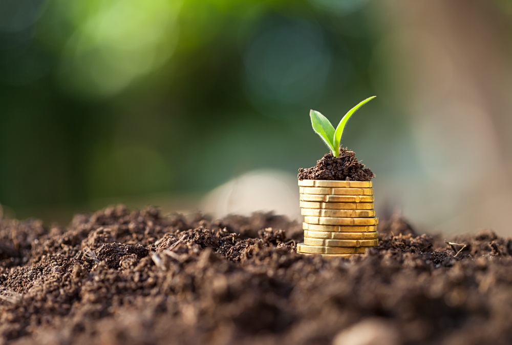 Власти Карагандинской области требуют у бизнесменов банковские гарантии на несуществующие участки земли