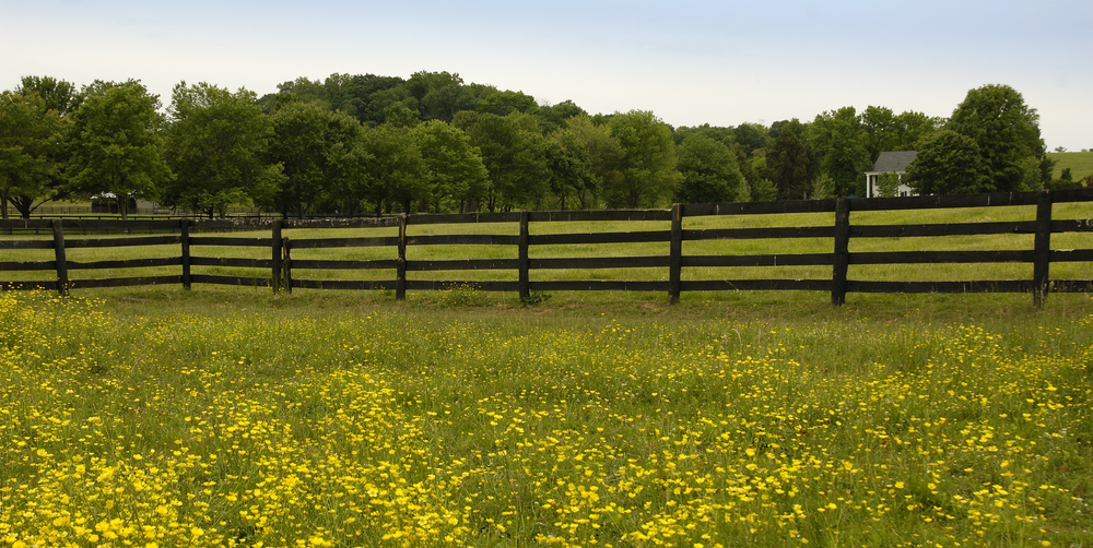 В Карагандинской области перестали выдавать предпринимателям землю