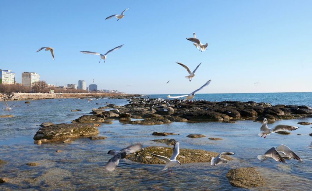 Побережье Каспия в Актау. Фото: Shutterstock.com