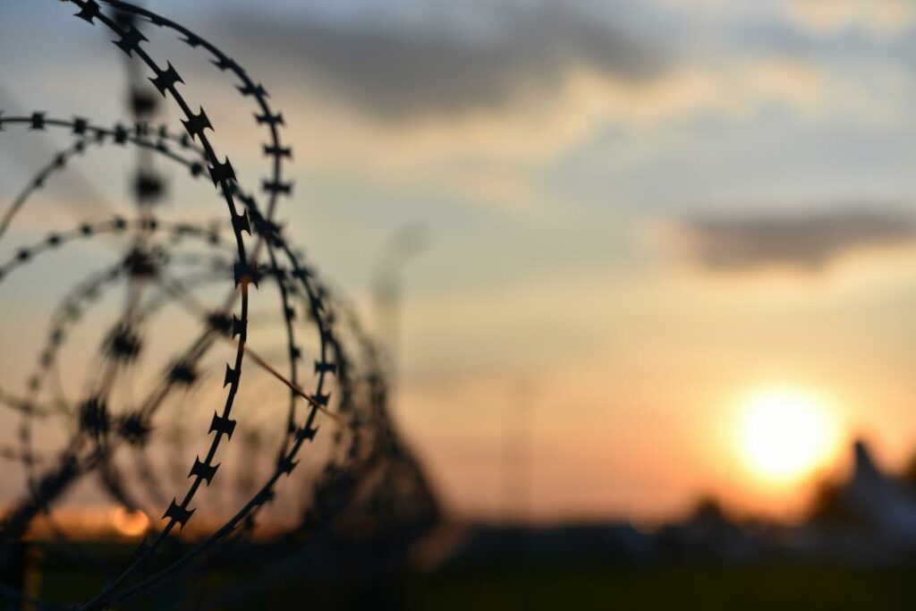 Фото: Shutterstock.com