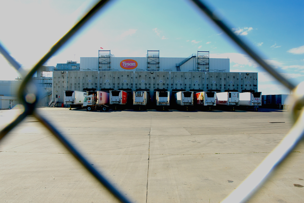 Фото:shutterstock 