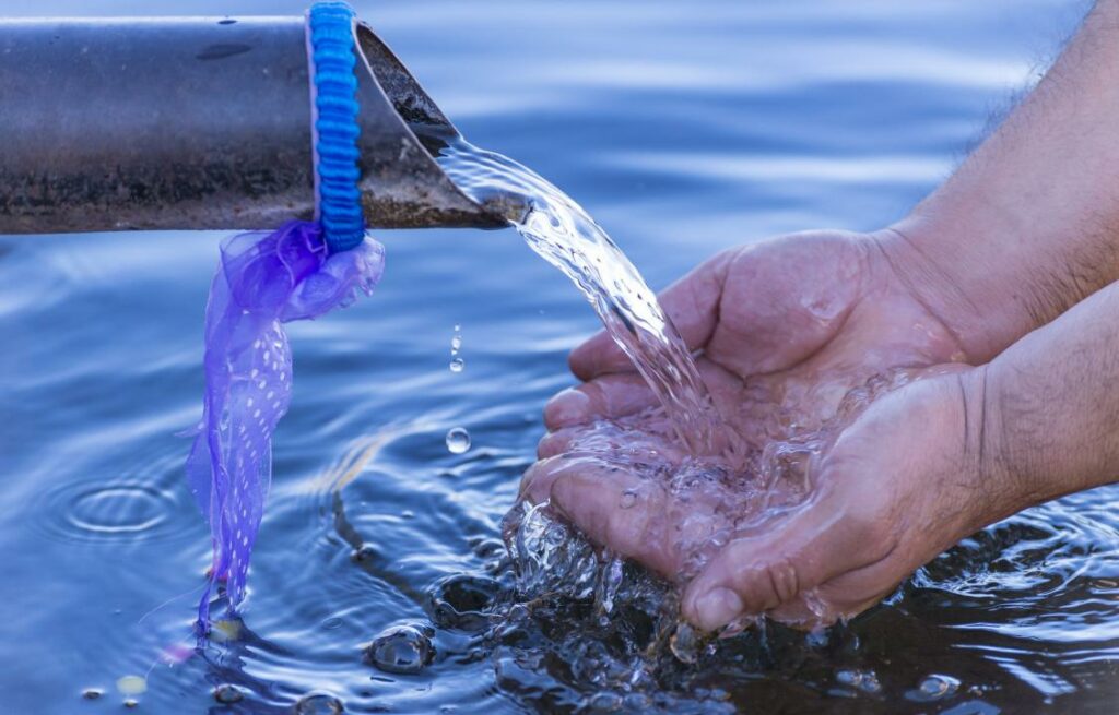 Фото: Shutterstock.com
