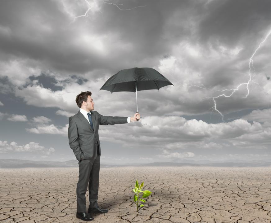 Индикаторы госпрограммы по поддержке агропромышленного комплекса не выполнены 