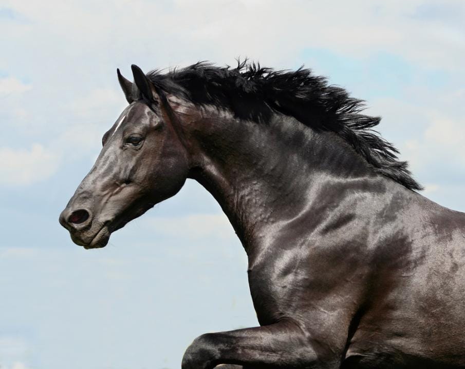 Фото: Shutterstock