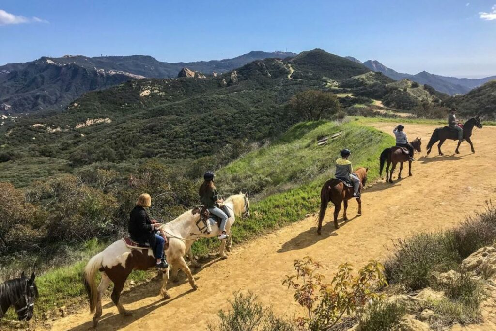 Фото: Mike Nelson / EPA / Shutterstock