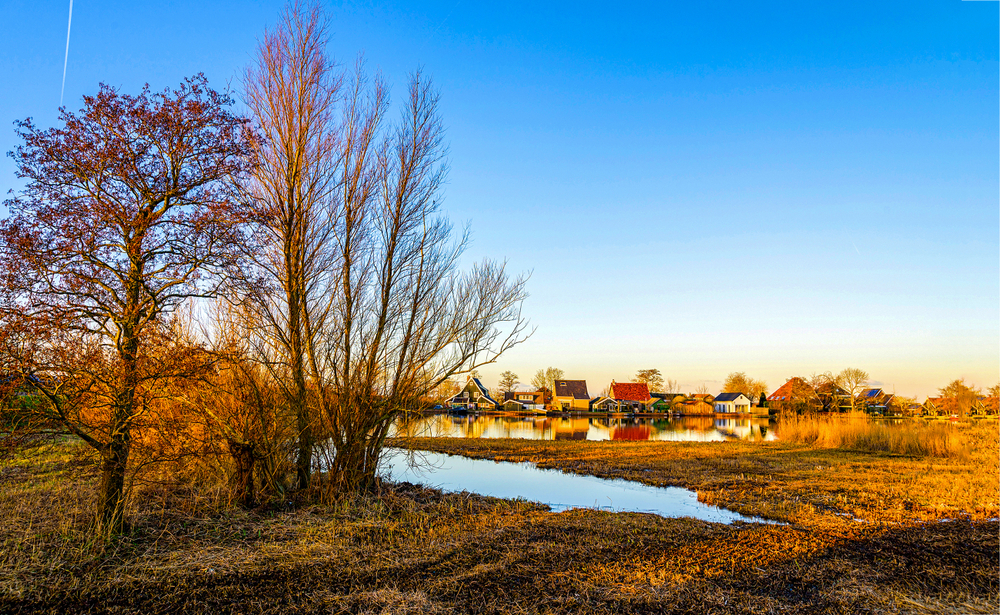 Фото: Shutterstock