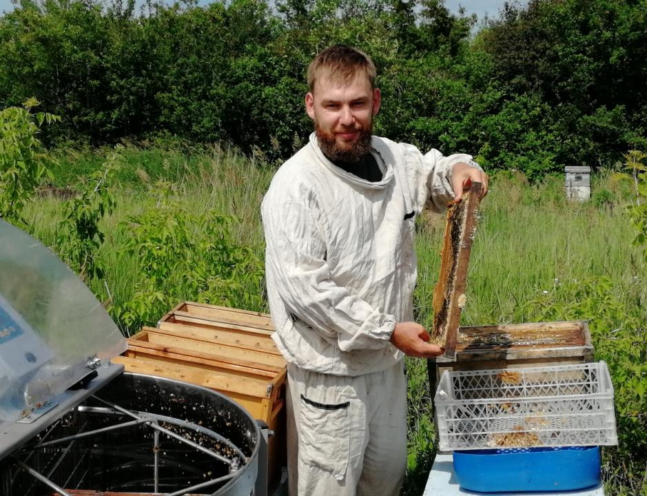 Почему пчеловодство в Костанайской области оказалось на грани выживания