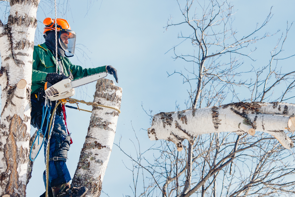 Фото: Shutterstock