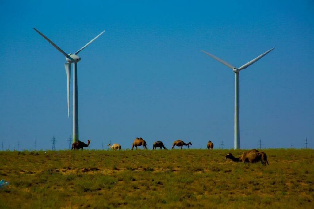 Село в казахстанской глубинке обеспечит себя энергией ветра
