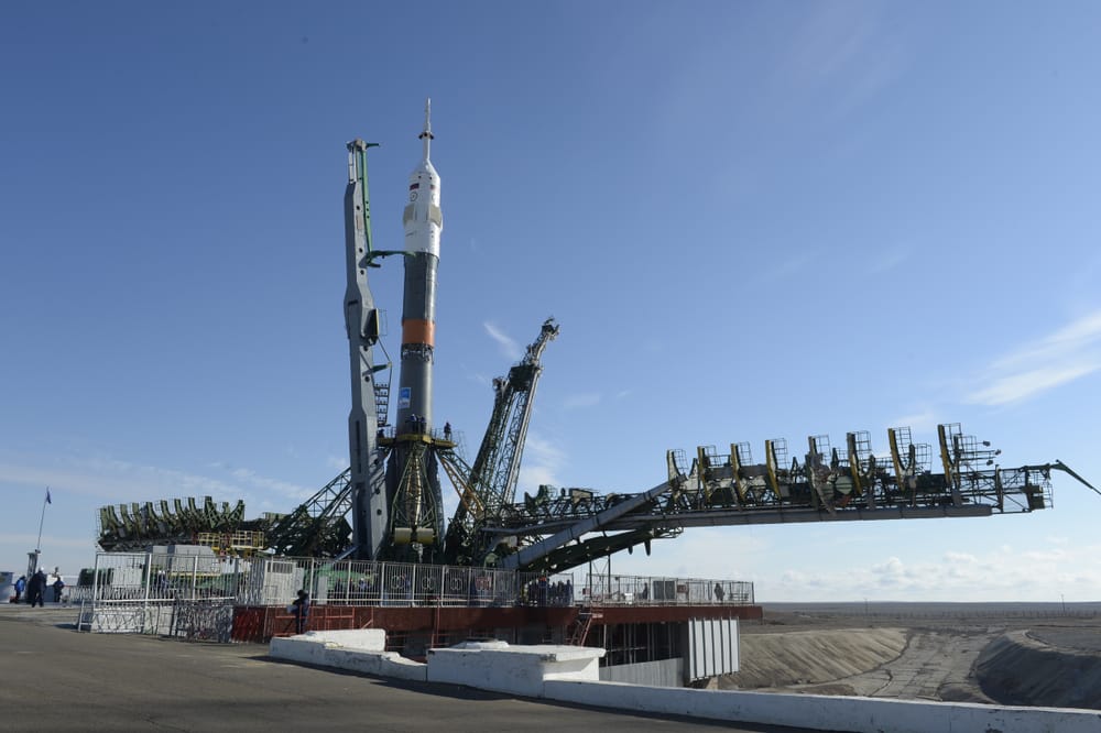 Фото: Sergey Rusanov/Shutterstock