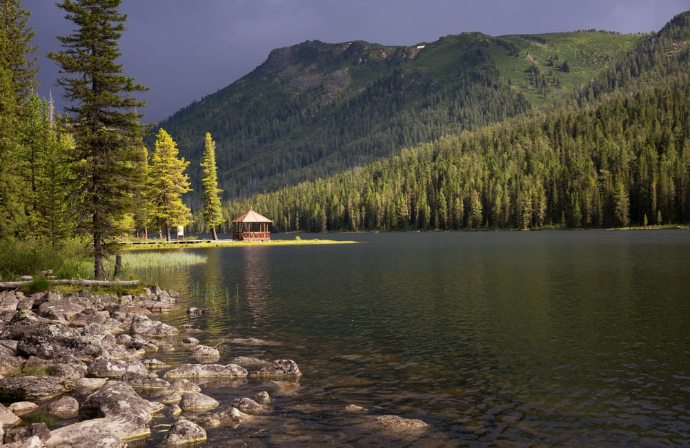 Фото: Shutterstock