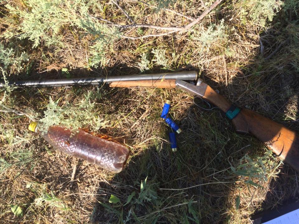 Фото: Shutterstock.com