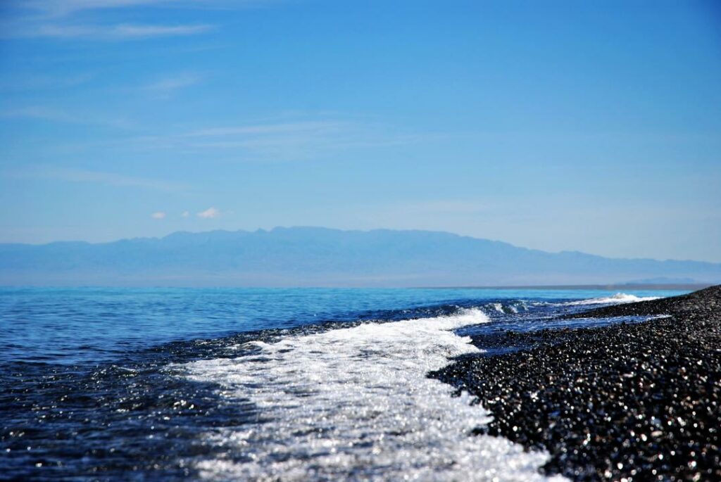 Фото: Shutterstock.com