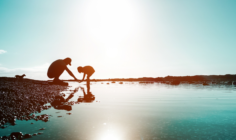 Фото: shutterstock