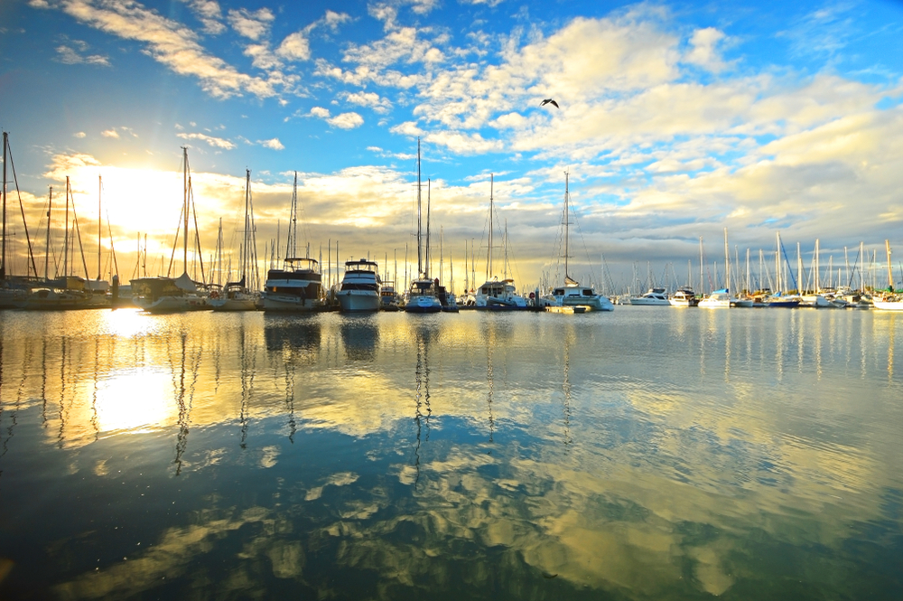 фото: shutterstock.com