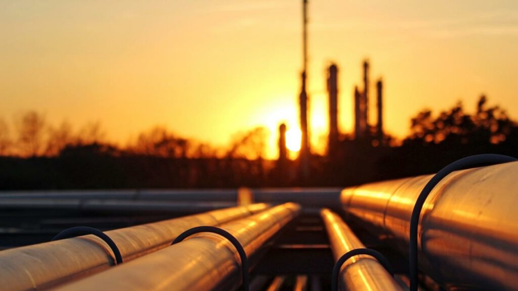 Фото:shutterstock 