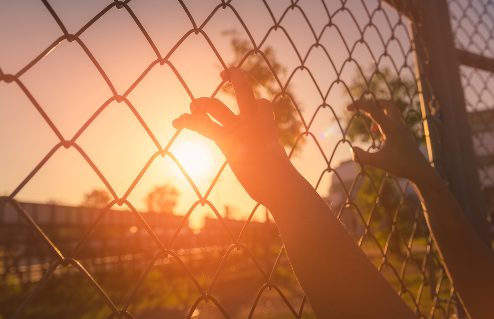 Толпа штурмом взяла склад «Хоргоса» и разграбила его