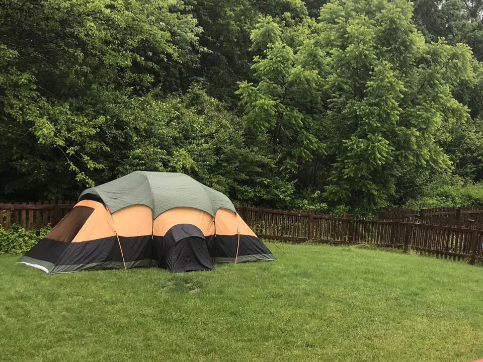 Фото: Shutterstock