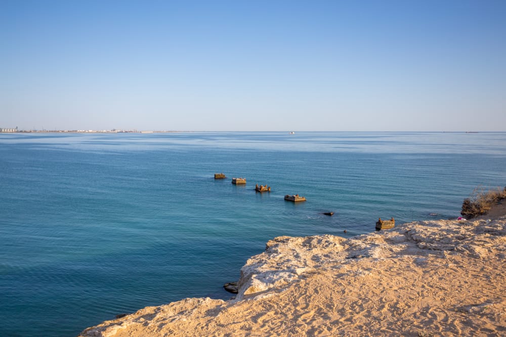 Мангистауские экологи требуют создания Центра по изучению проблем Каспийского моря