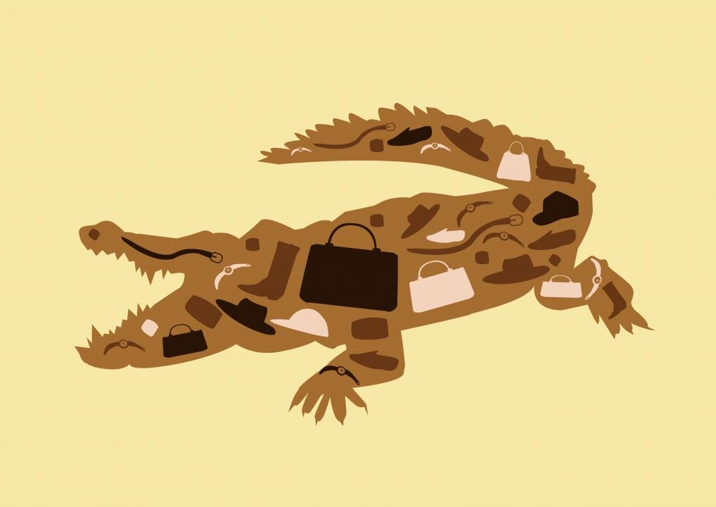 Этично ли носить сумку из крокодиловой кожи?