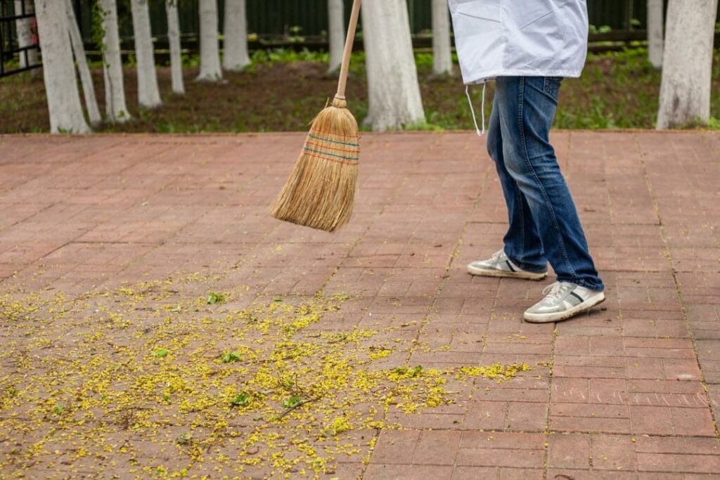 Фото: Shutterstock.com