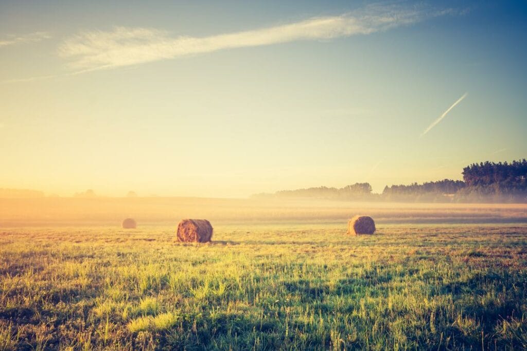 В Казахстане упрощены условия аренды земель для аграриев