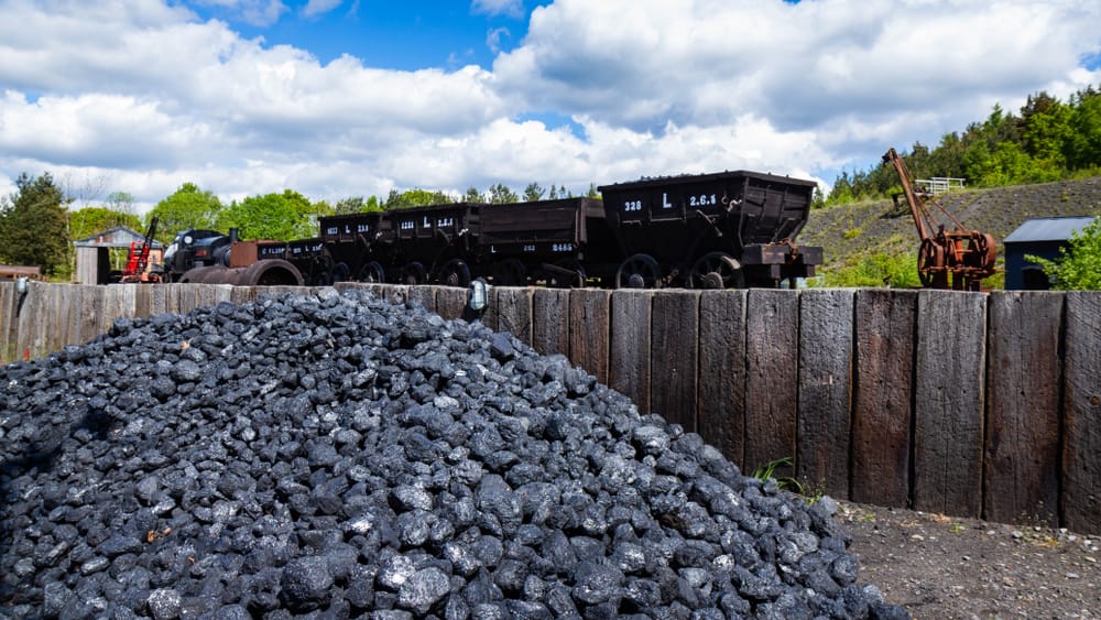 Фото: shutterstock