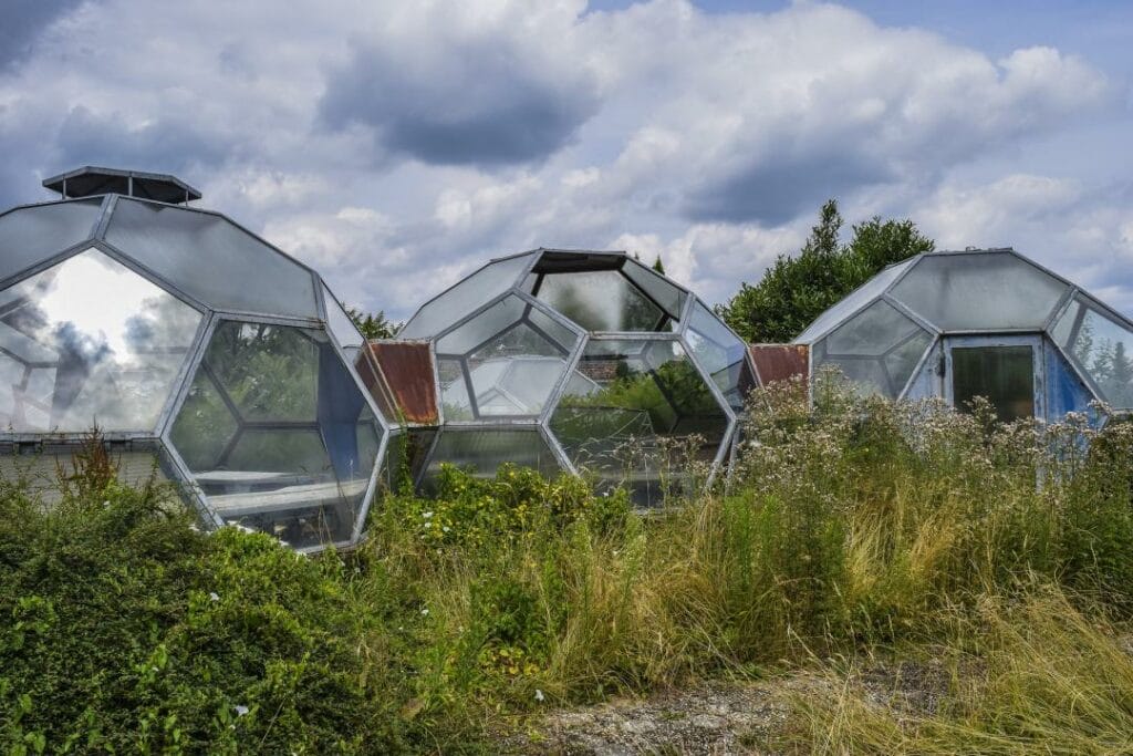 Владельцы теплиц на юге Казахстана больше не будут облагаться штрафом
