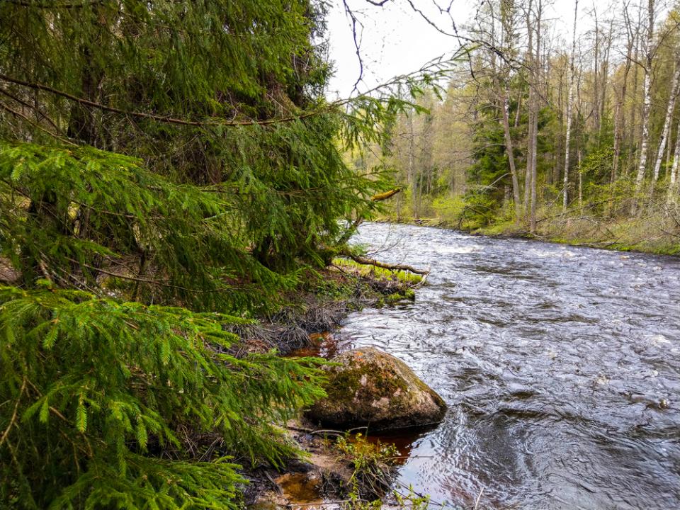 Чиновники потратили на санацию реки Сокур миллионы и остались недовольны