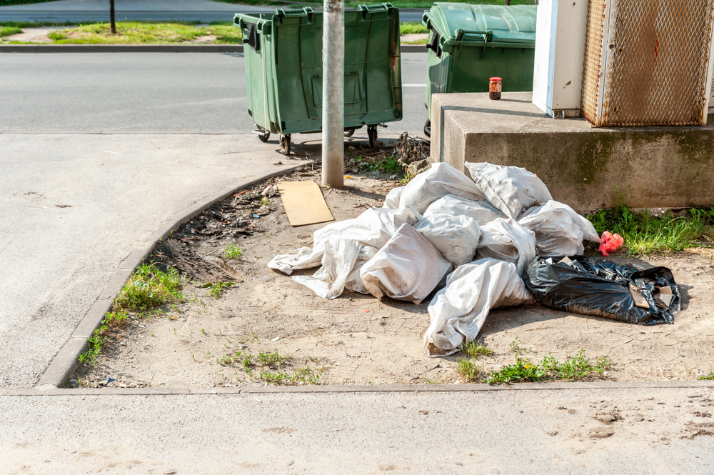 фото: shutterstock.com