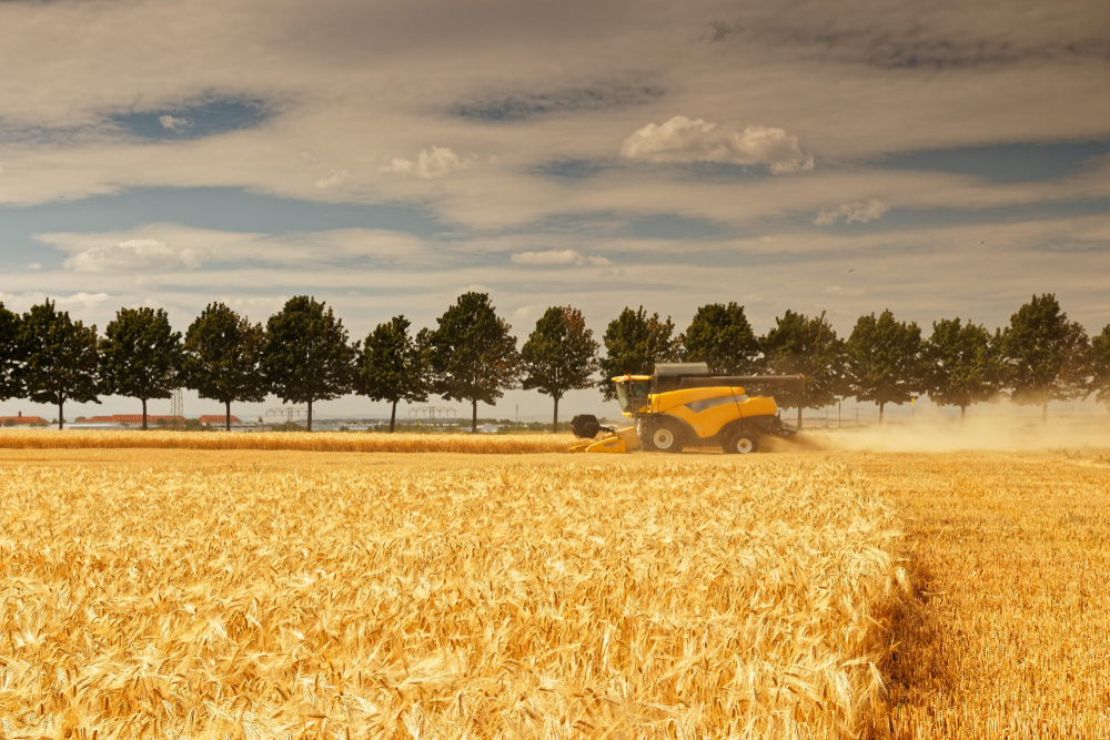 Фото: Shutterstock