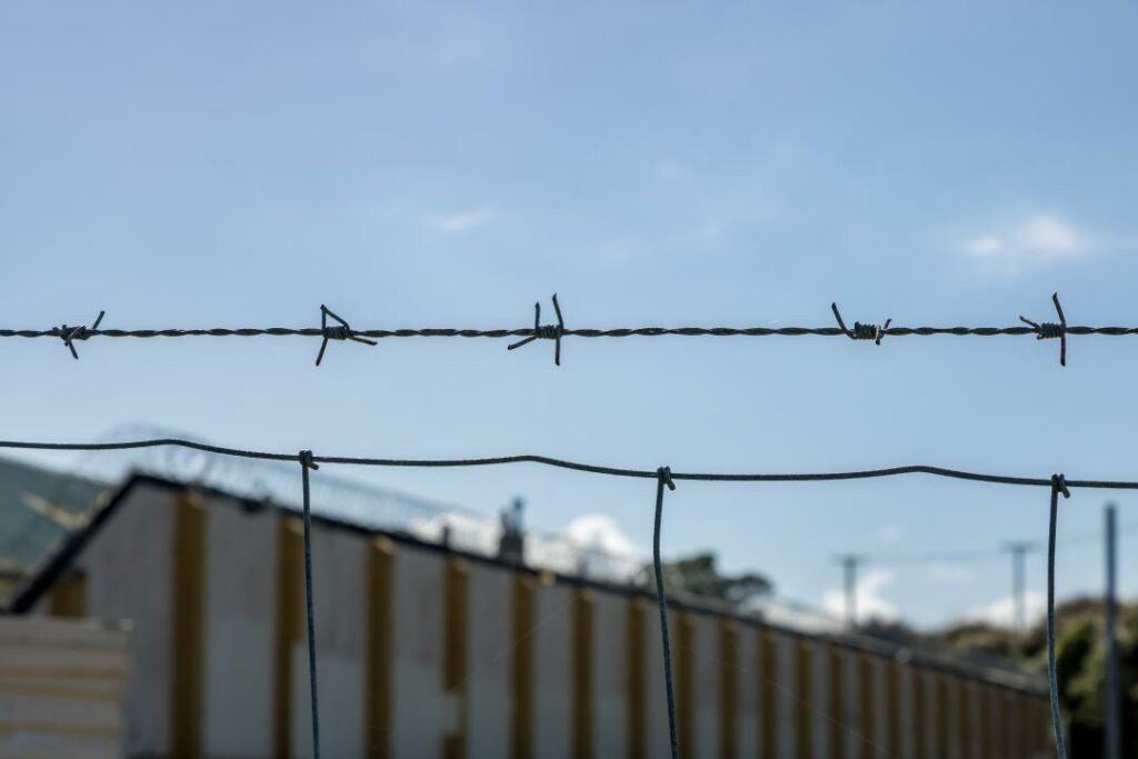 Фото: Shutterstock.com